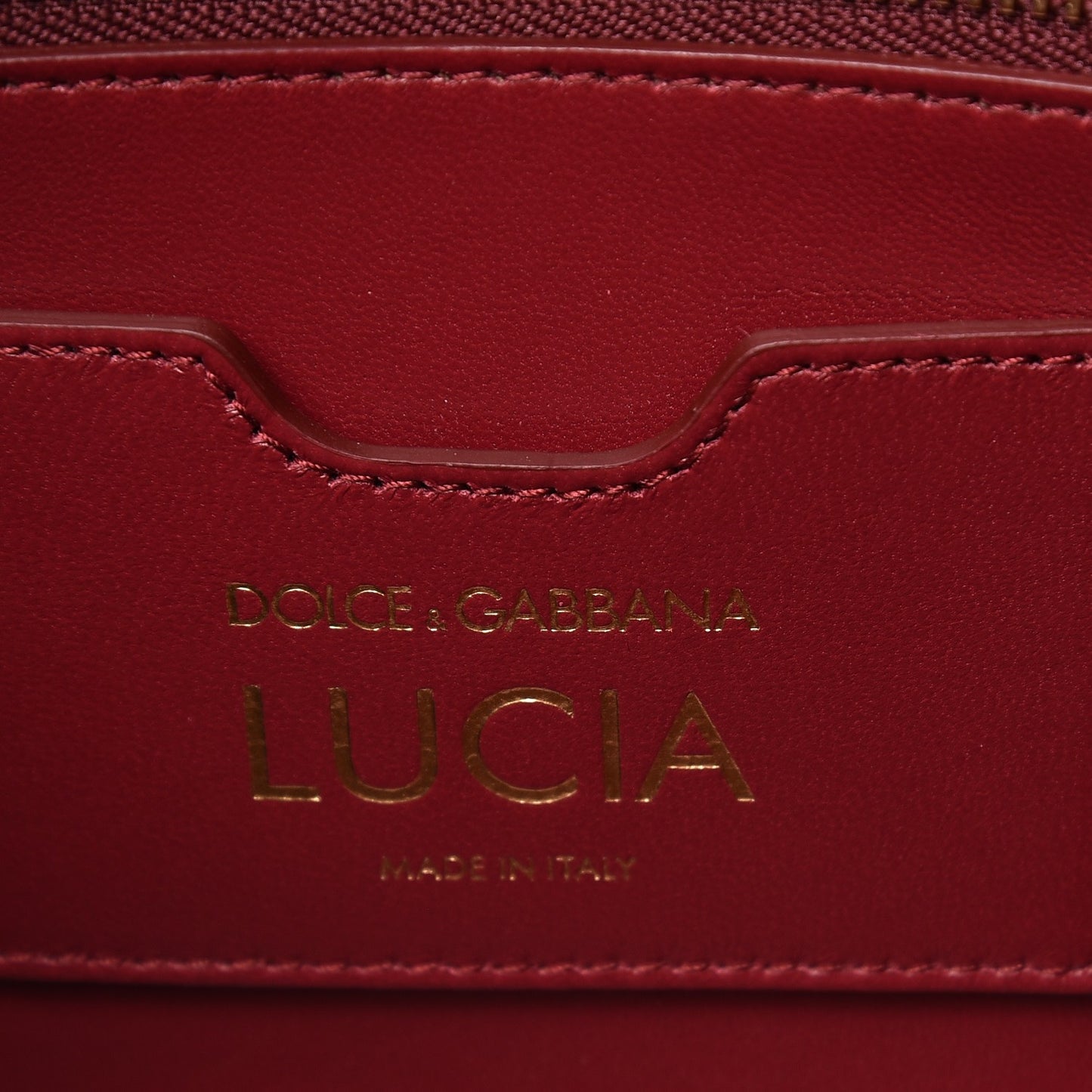 Iguana Calfskin Embossed Lucia Top Handle Bag Pink