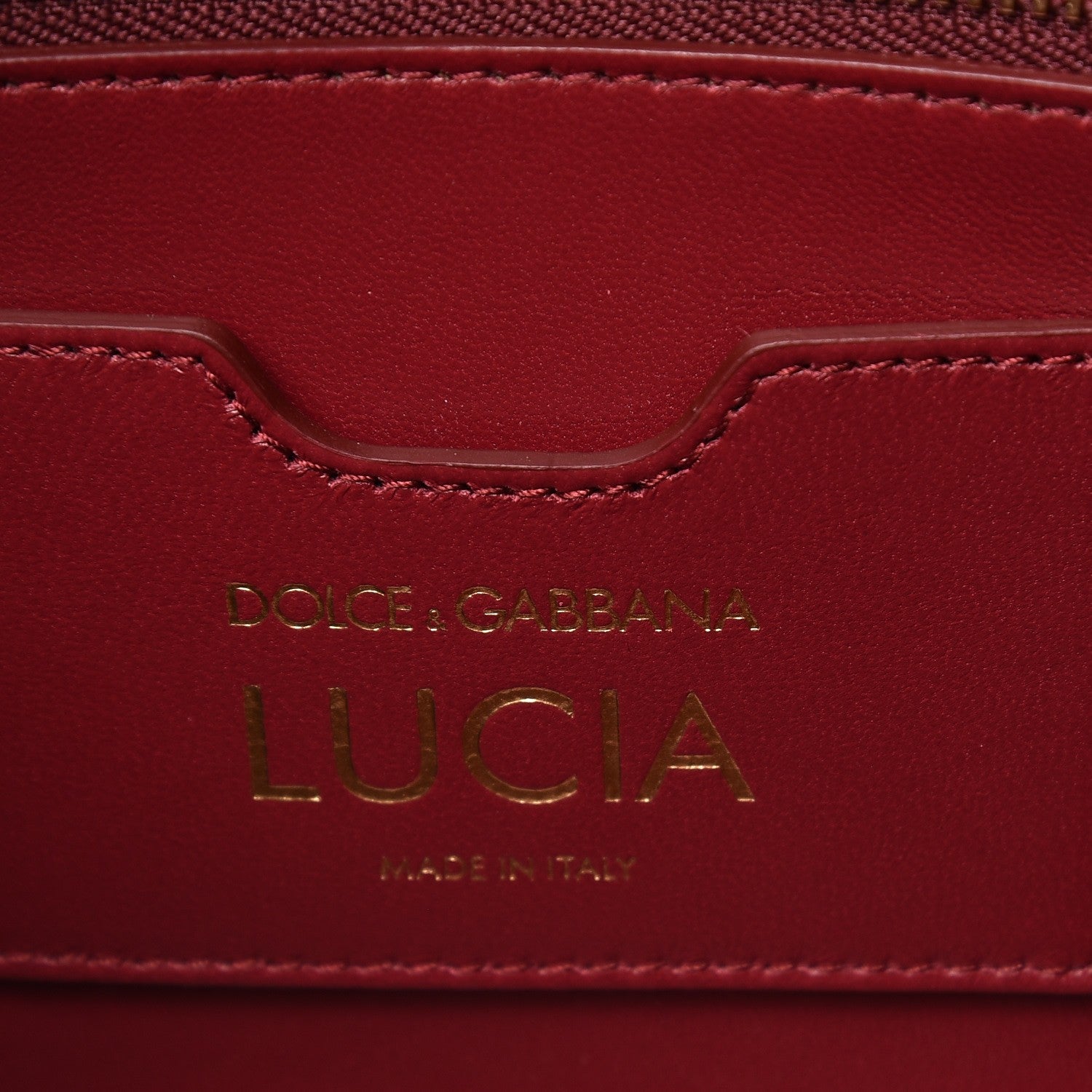 Dolce & Gabbana Iguana Calfskin Embossed Lucia Top Handle Bag Pink 6 of 6