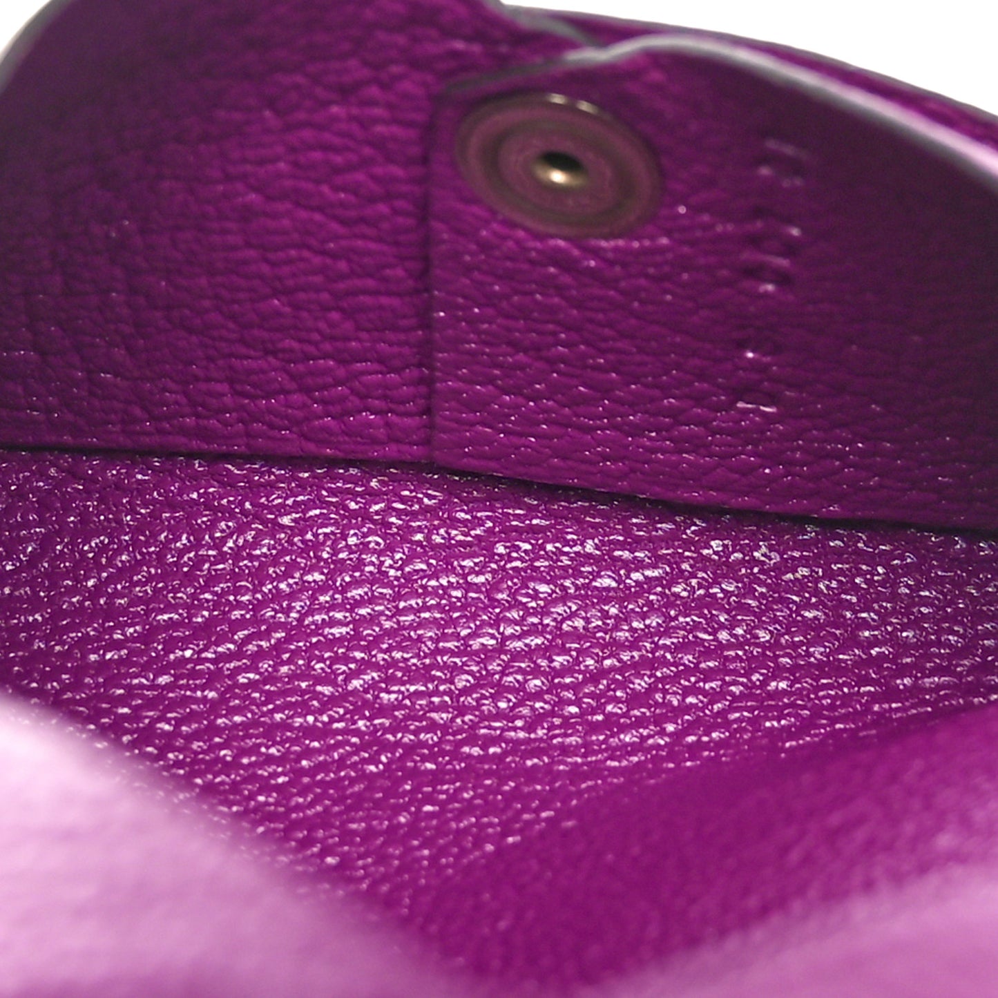 Chevre Mysore Calvi Card Case Anemone
