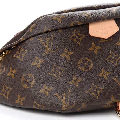 Louis Vuitton Monogram Bumbag 7 of 8