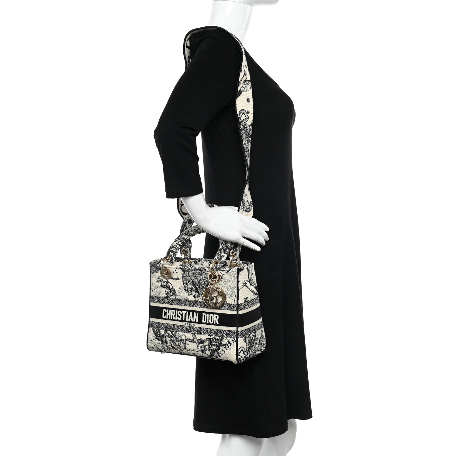 Christian Dior Canvas Embroidered Zodiac Toile De Jouy Medium Lady D-Lite Latte 2 of 9