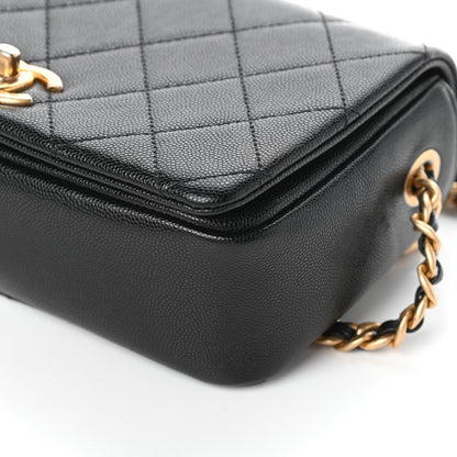 Chanel Caviar Quilted Small Fashion Therapy Flap Bag Black 10 of 10