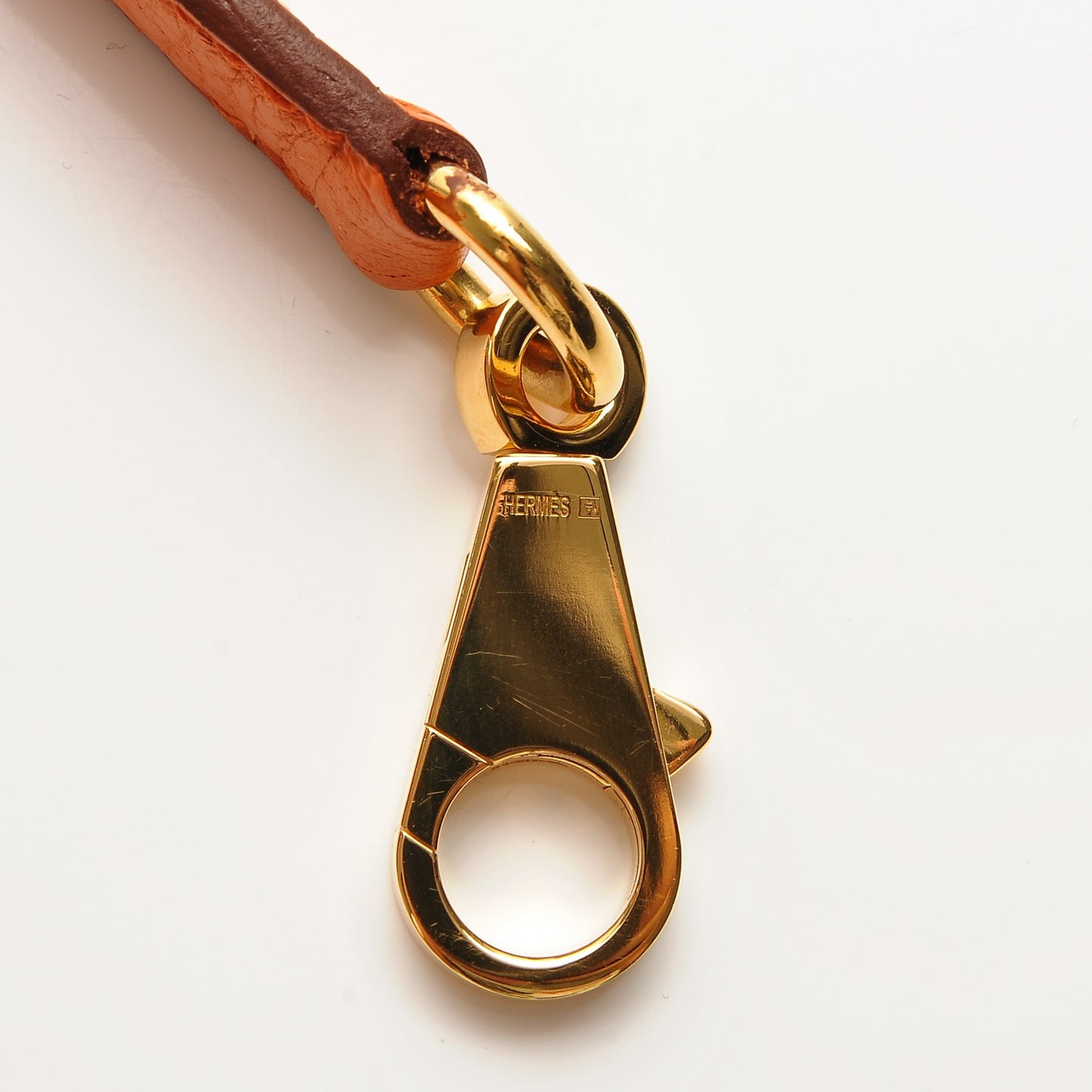 Taurillon Clemence Kelly Retourne 28 Orange