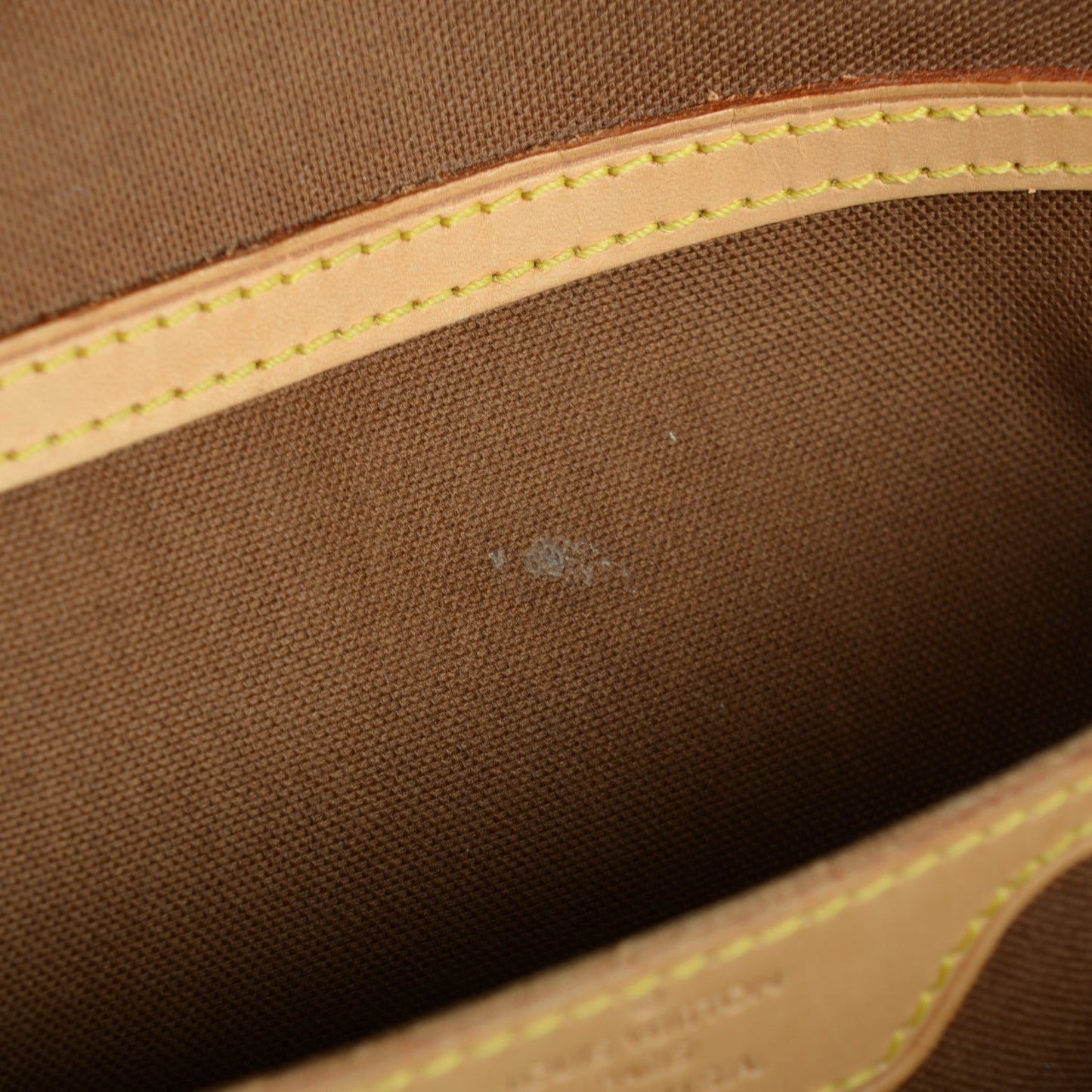 Monogram Cabas Mezzo