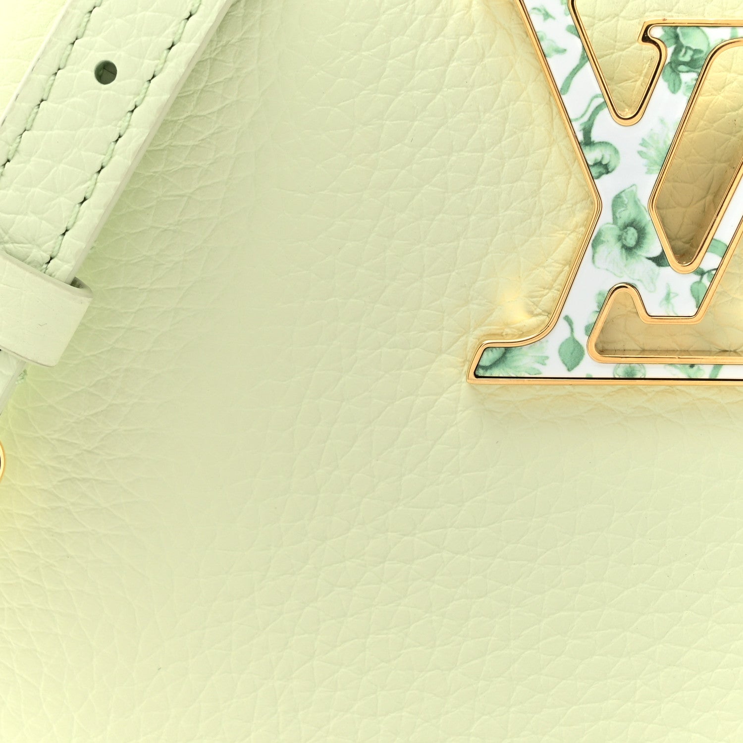 Louis Vuitton Taurillon Karung Mini Capucines Vert D'eau Green 7 of 11