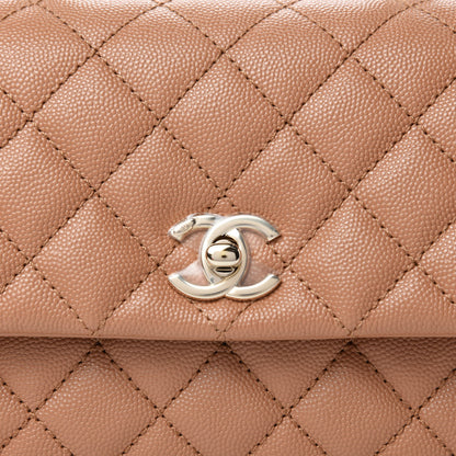 Chanel Caviar Quilted Lizard Embossed Mini Coco Handle Flap Brown 10 of 11