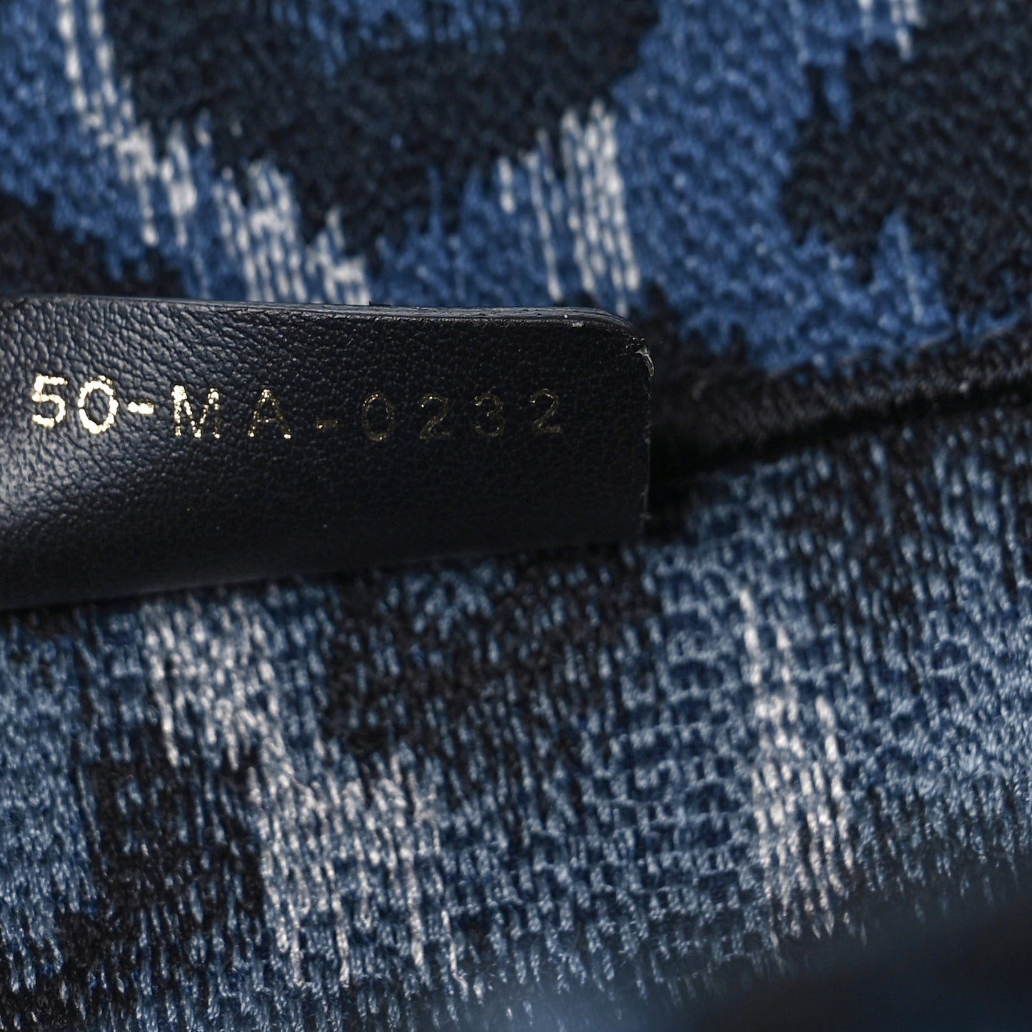 Canvas Mizza Embroidered Medium Leopard Book Tote Blue