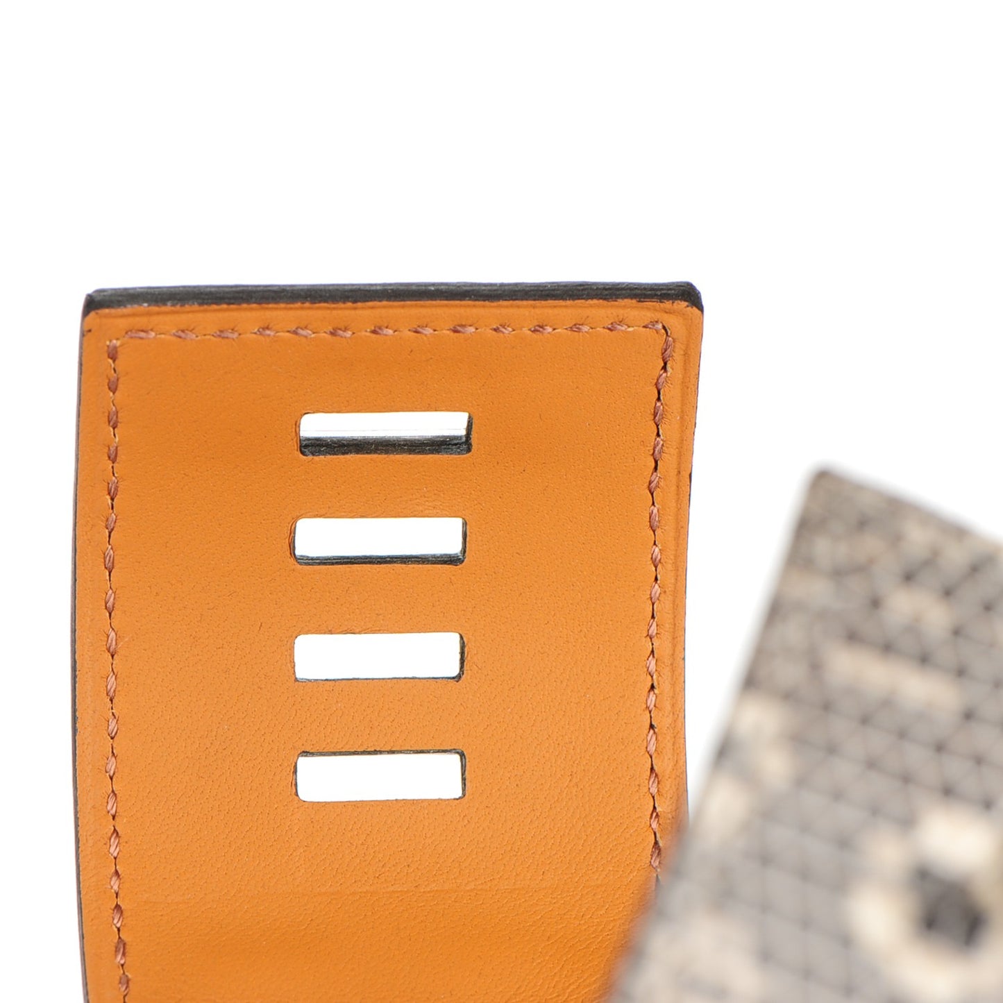 Lizard Collier De Chien CDC Bracelet S Ombre
