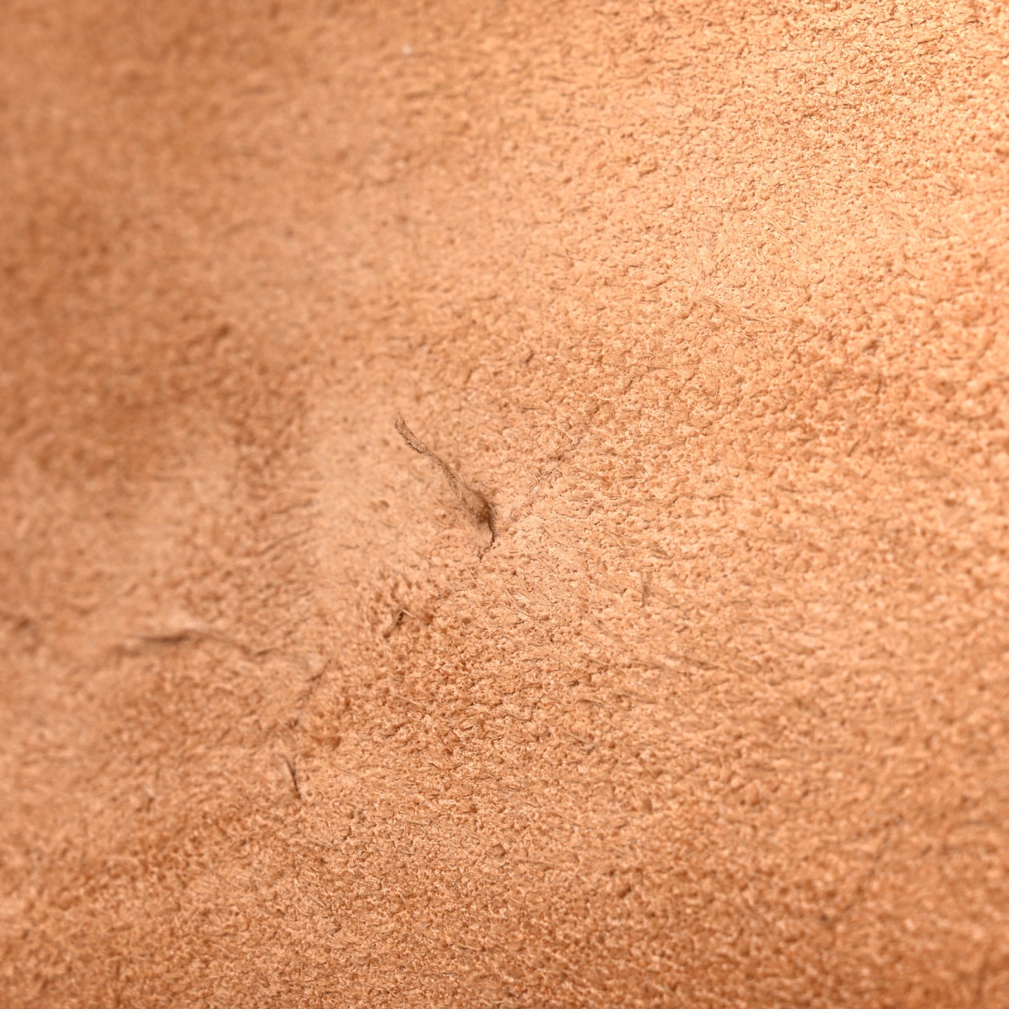 Calfskin 31 Hour Bag Nude