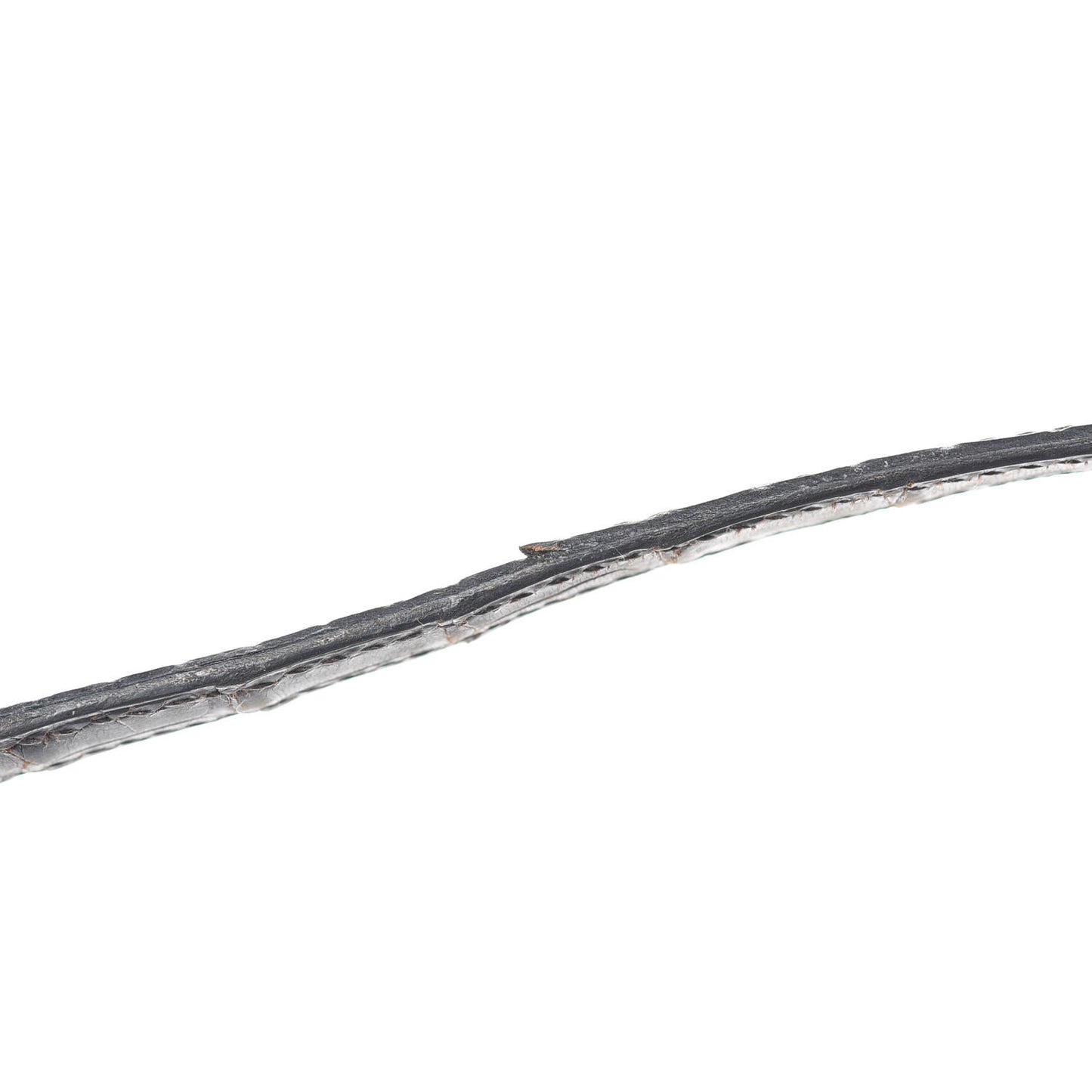 Shiny Alligator Micro Constance 14 Ebene