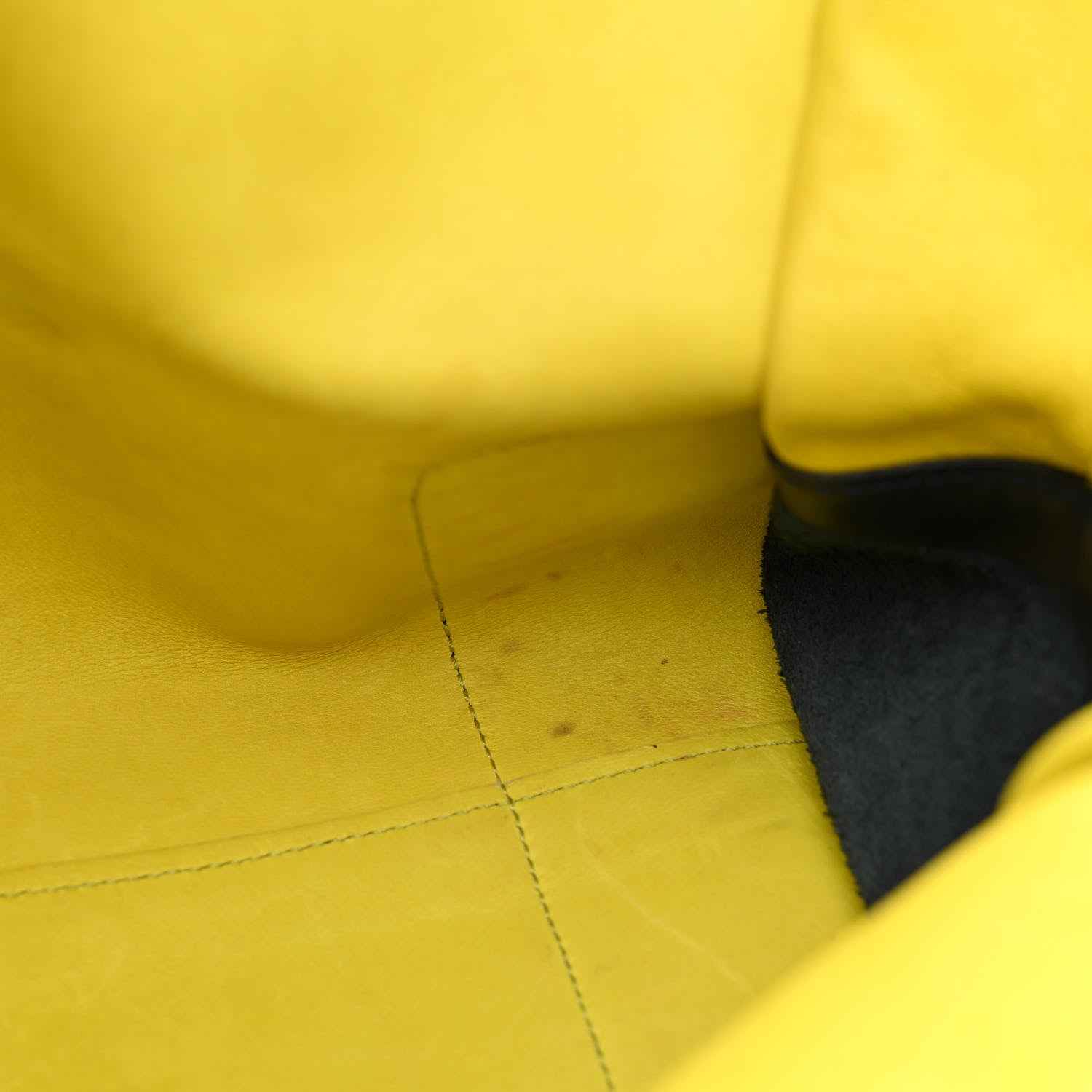 Loewe Suede Calfskin Amazona Yellow Black 8 of 15