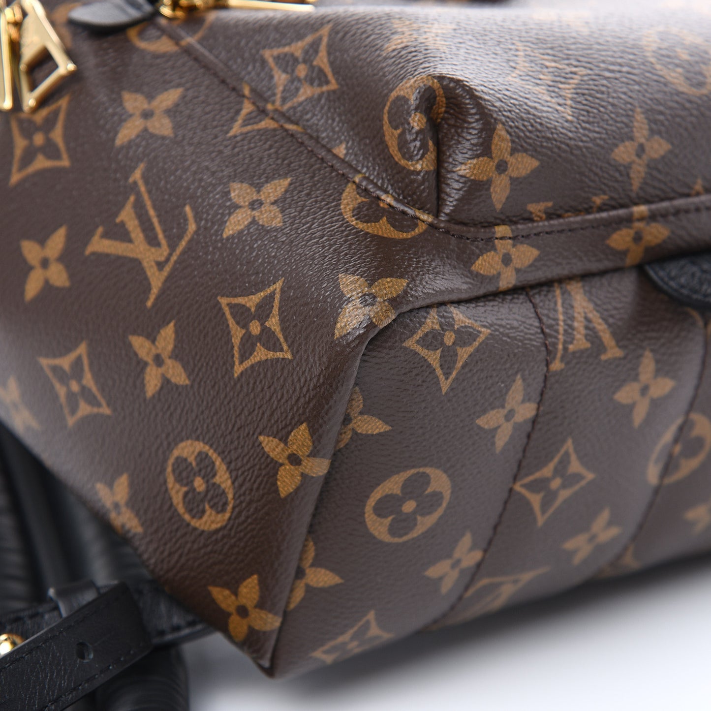 Monogram Palm Springs Backpack PM