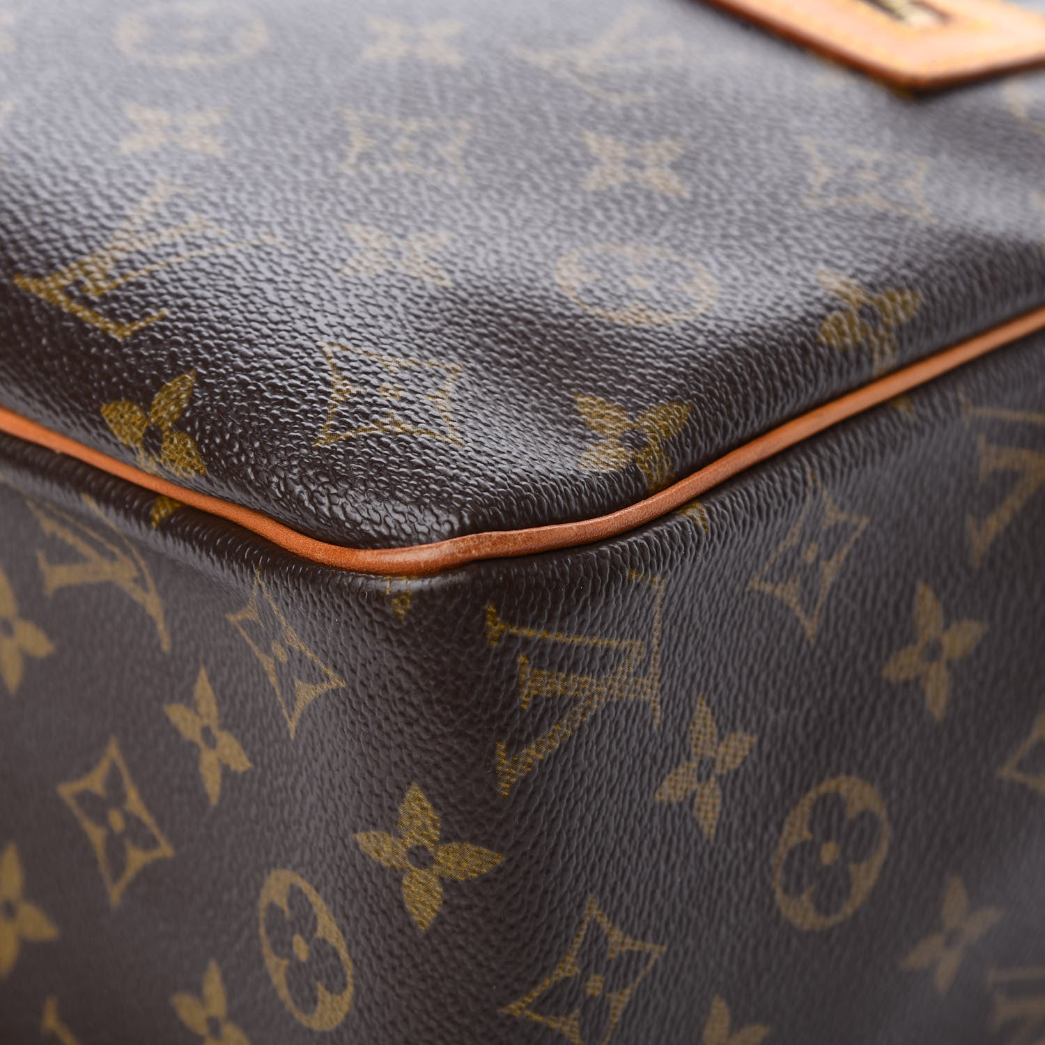 Louis Vuitton Monogram Cite GM 8 of 11