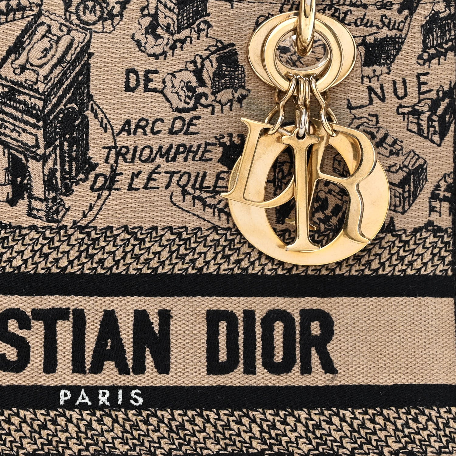 Christian Dior Canvas Embroidered Medium Plan de Paris Lady D-Lite Beige Black 10 of 15