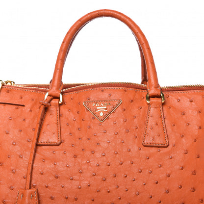 Prada Ostrich Double Zip Tote Papaya 10 of 14
