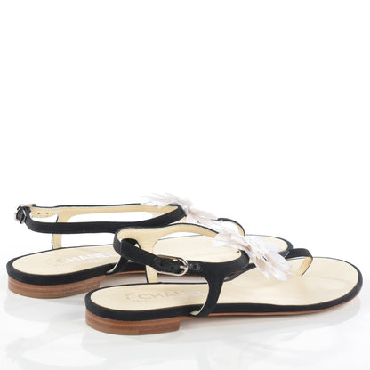 Chanel Grosgrain Camellia Thong Sandals 38 Black White 4 of 7