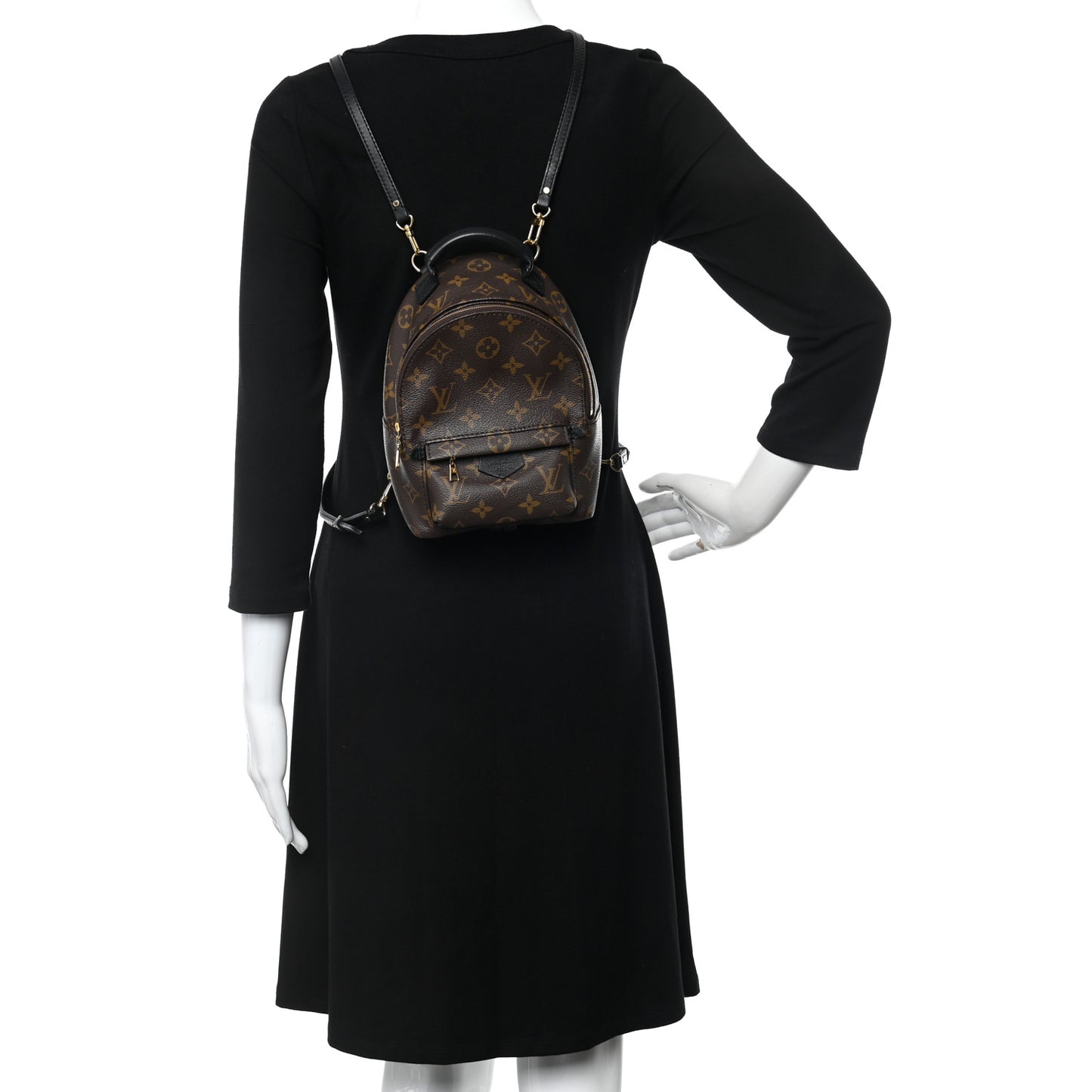 Monogram Palm Springs Backpack Mini