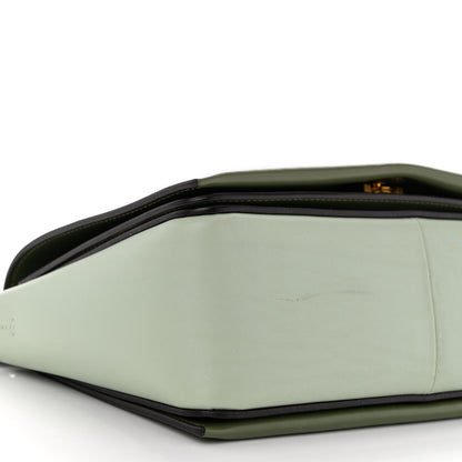 Celine Shiny Smooth Calfskin Medium Frame Shoulder Bag Pastel Green 10 of 14