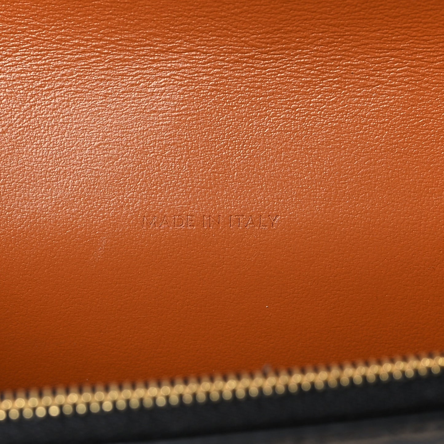 Triomphe Canvas Lambskin Wallet On Strap Tan