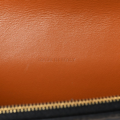 Celine Triomphe Canvas Lambskin Wallet On Strap Tan 7 of 9