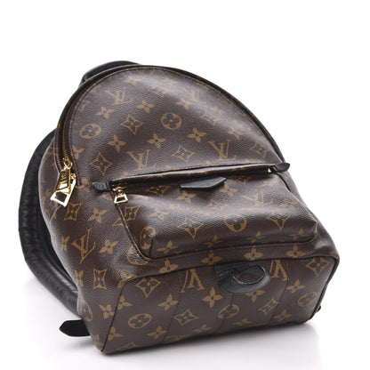 Louis Vuitton Monogram Palm Springs Backpack PM 3 of 10