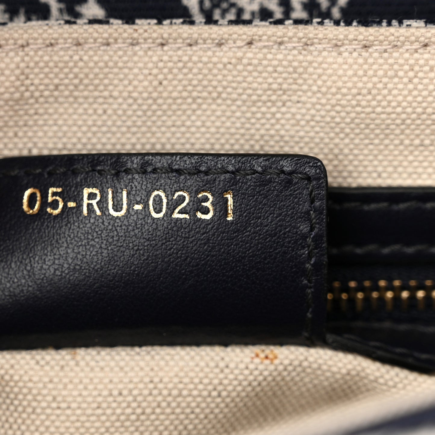 Canvas Embroidered Dioriviera Saddle Bag Blue