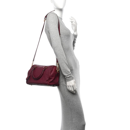Louis Vuitton Empreinte Monogram Speedy Bandouliere 25 Wine 2 of 11