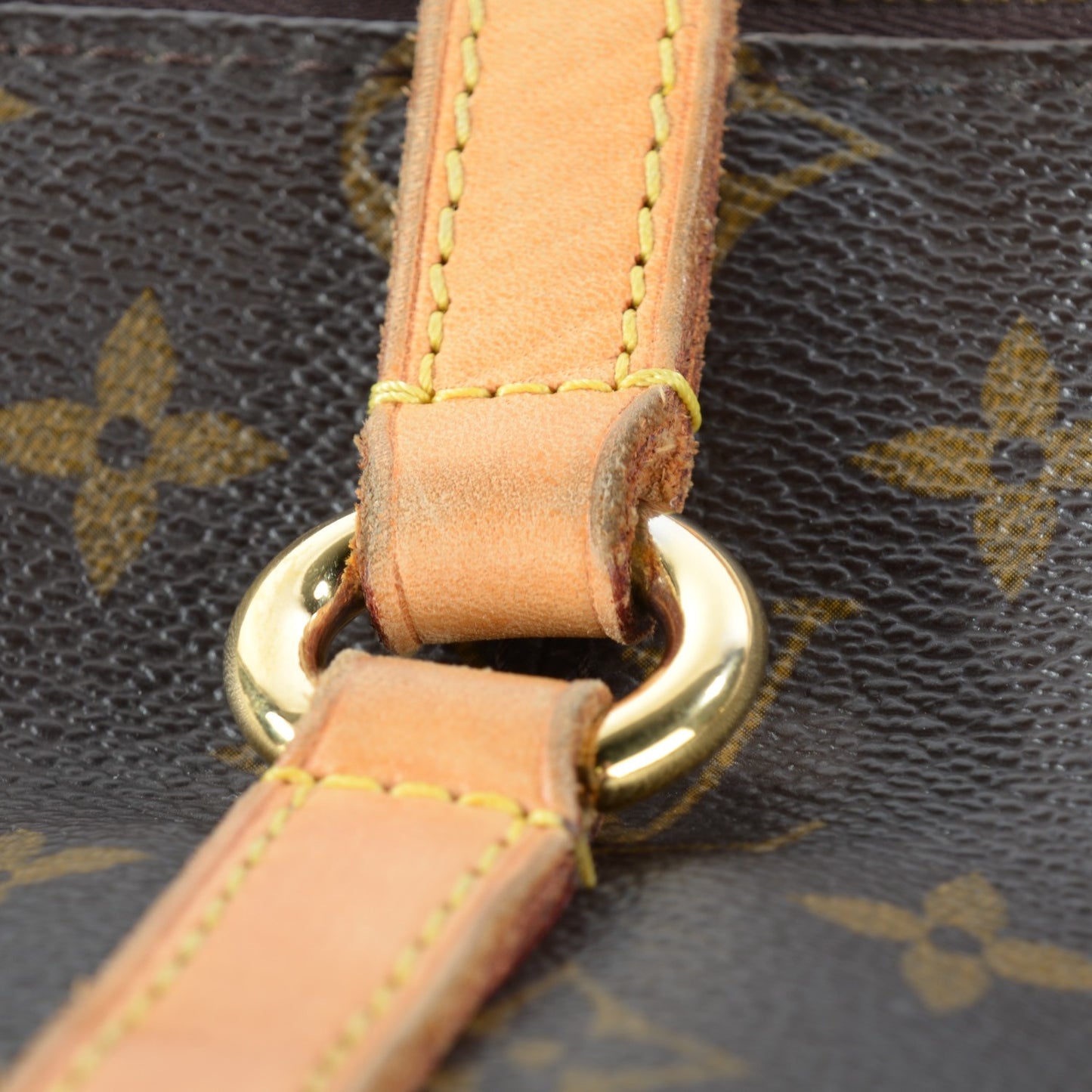 Monogram Totally MM