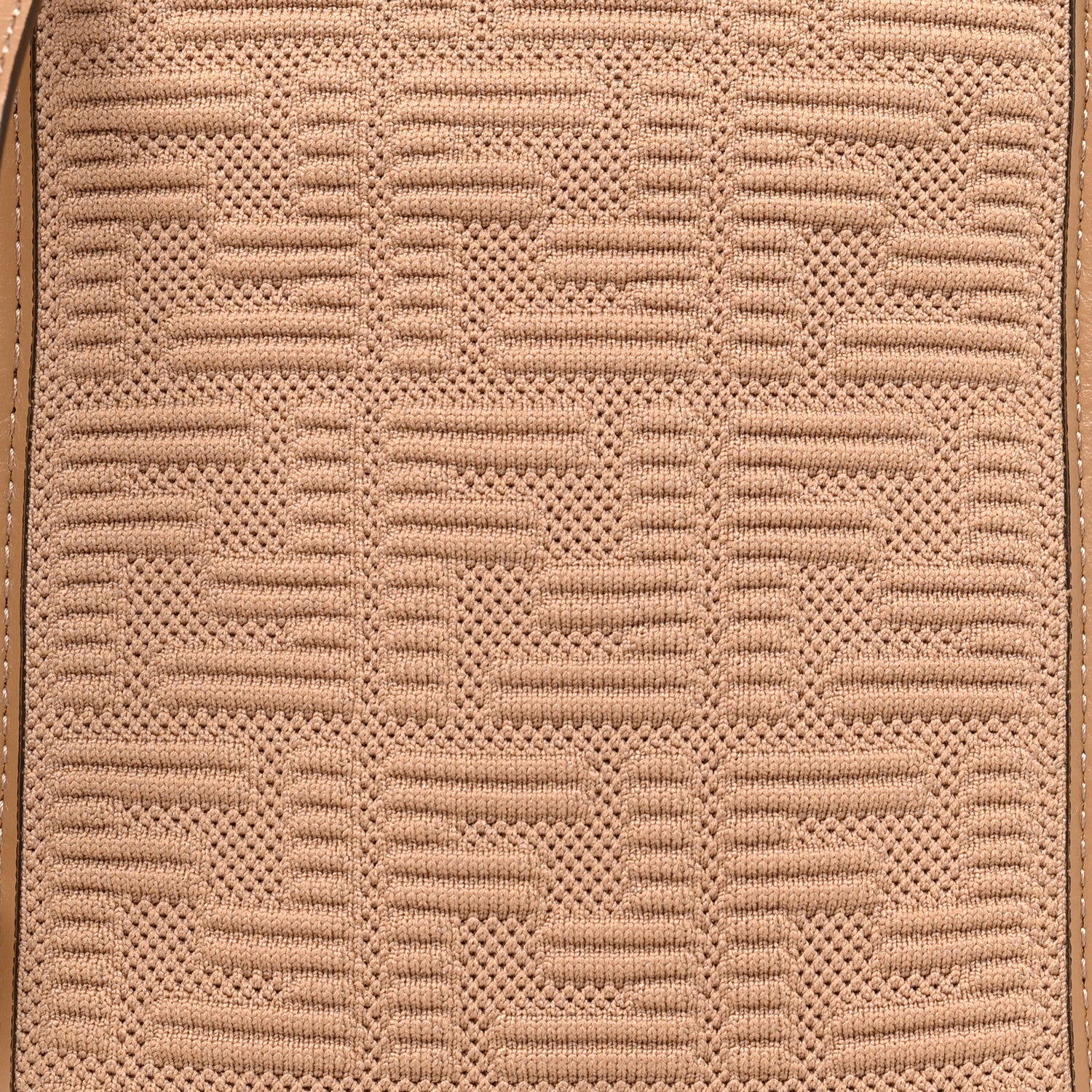 Fendi Technical Fabric Vitello Ceylon Plexiglass FF Mini Fendi Sunshine Shopper Tote Sand 7 of 9