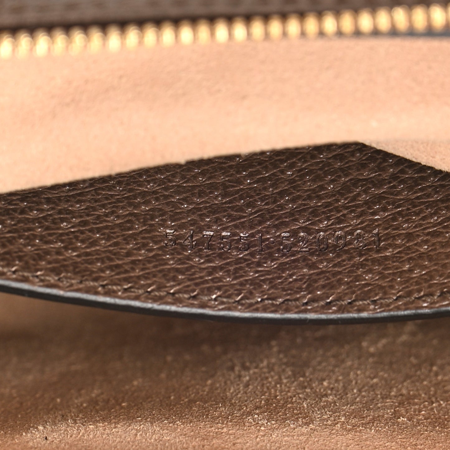 GG Supreme Monogram Small Ophidia Tote Bag Brown