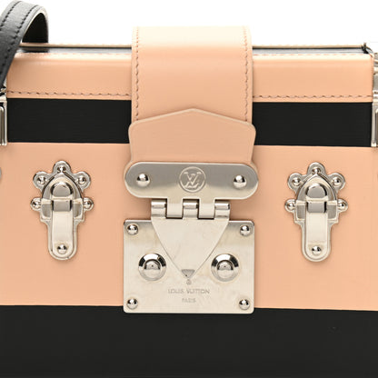 Louis Vuitton Calfskin Temple Petite Malle 8 of 10