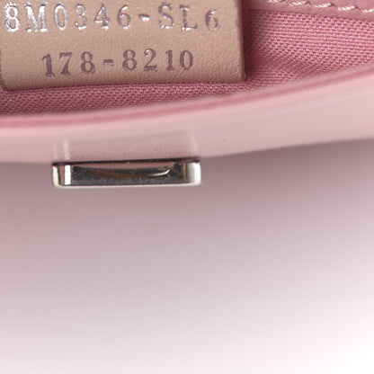 Fendi Vitello Century Hypnoteyes Tube Wallet On Chain Bubblegum 7 of 10