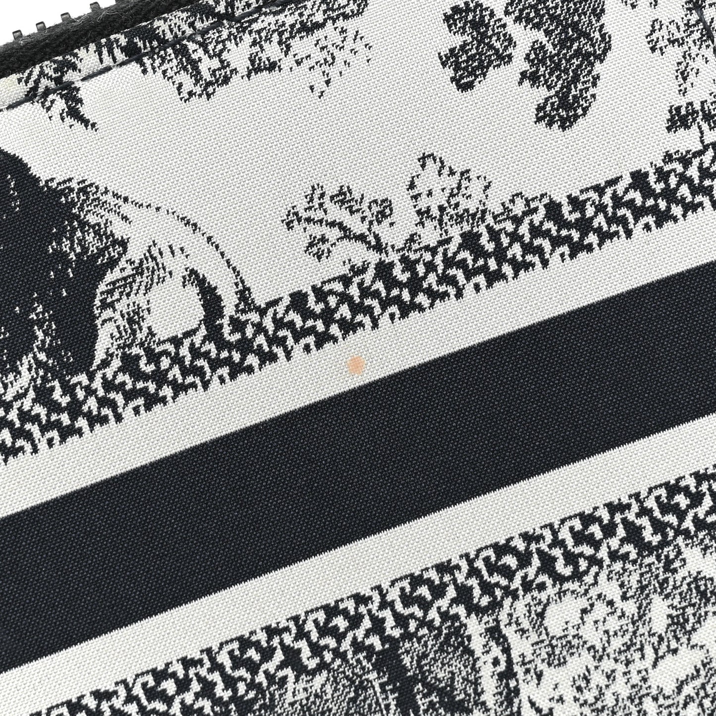 Technical Fabric Embroidered Toile De Jouy DiorTravel Detachable Card Holder Blue
