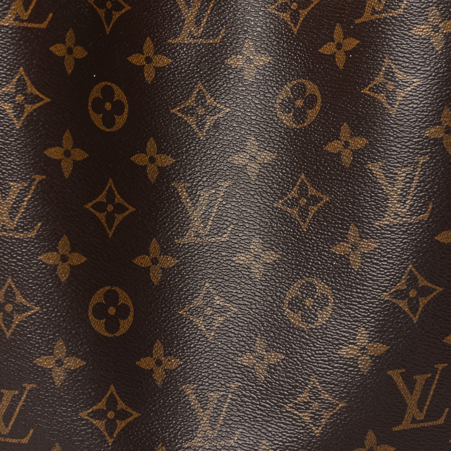 Monogram Delightful PM