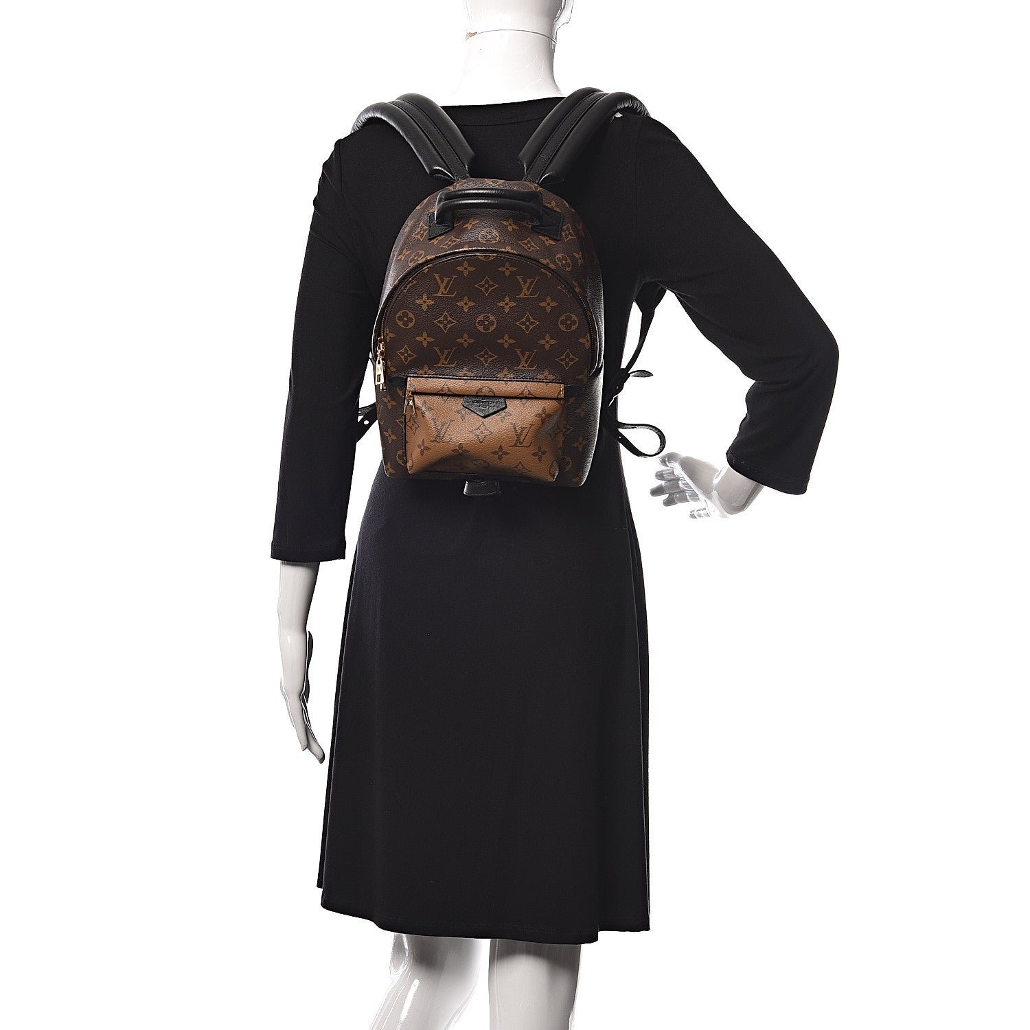 Louis Vuitton Reverse Monogram Palm Springs Backpack PM 2 of 11