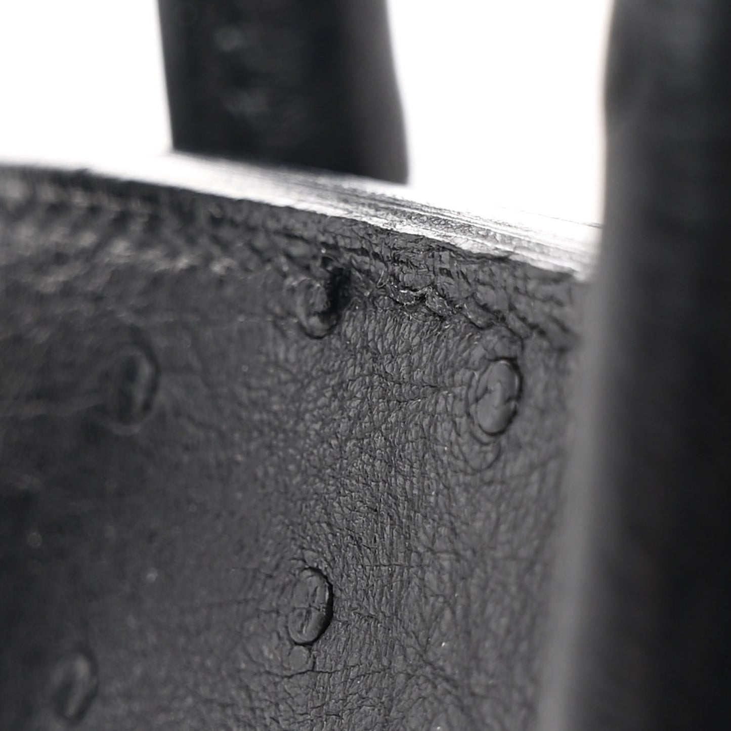 Ostrich Bi-Color Birkin 25 Bleu Iris Black