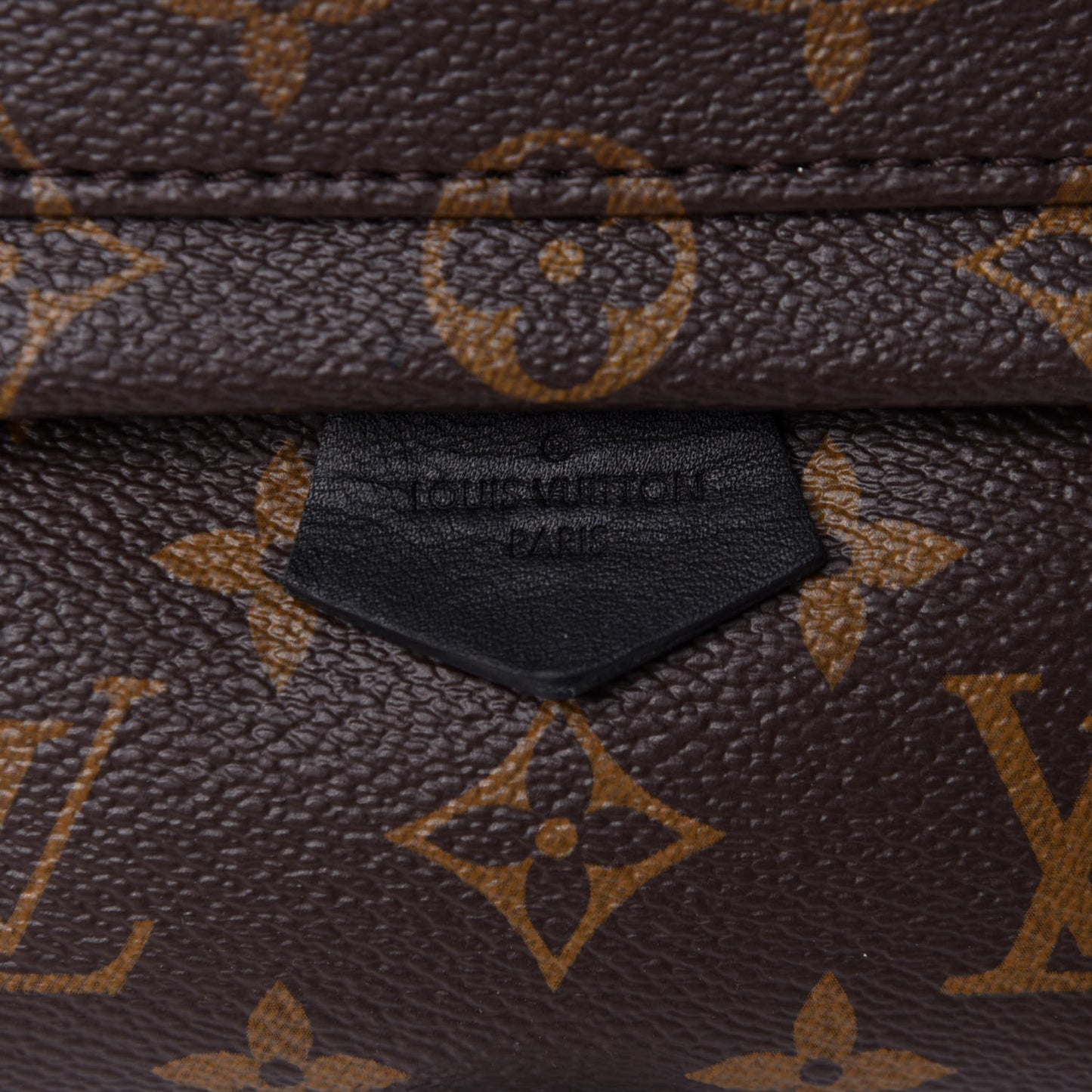Monogram Palm Springs Backpack Mini