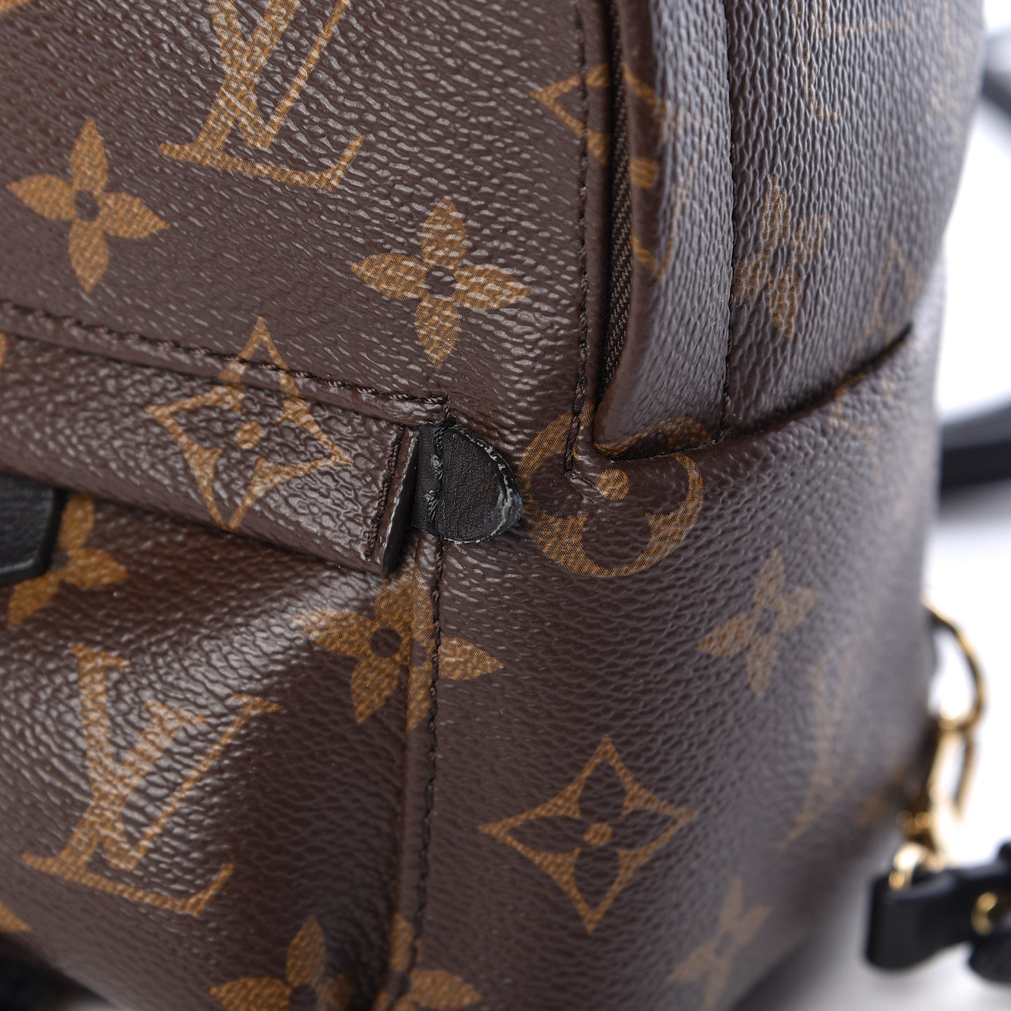 Monogram Palm Springs Backpack Mini