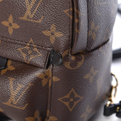 Louis Vuitton Monogram Palm Springs Backpack Mini 11 of 15