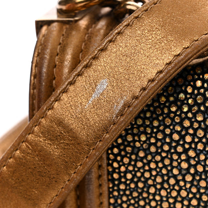 Chanel Galuchat Stingray Mini Boy Flap Gold 13 of 17