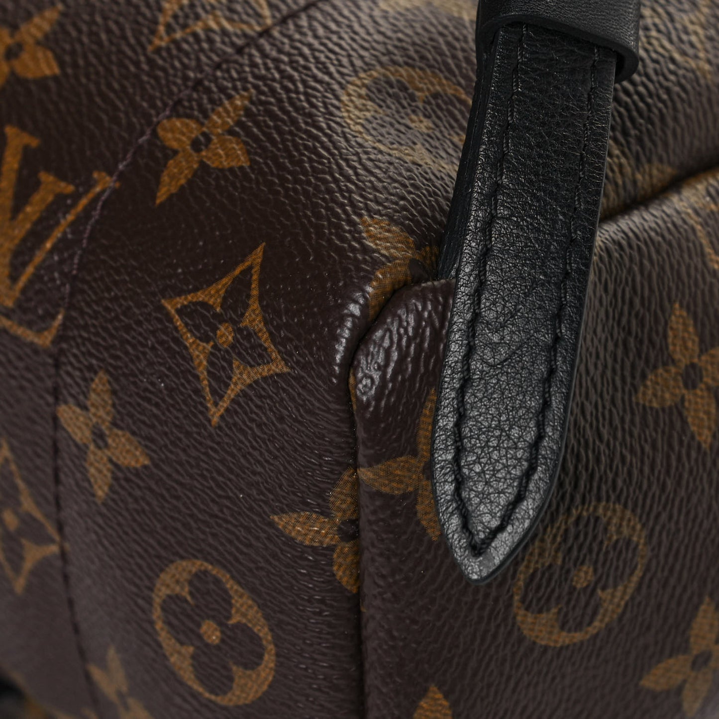 Monogram Palm Springs Backpack PM