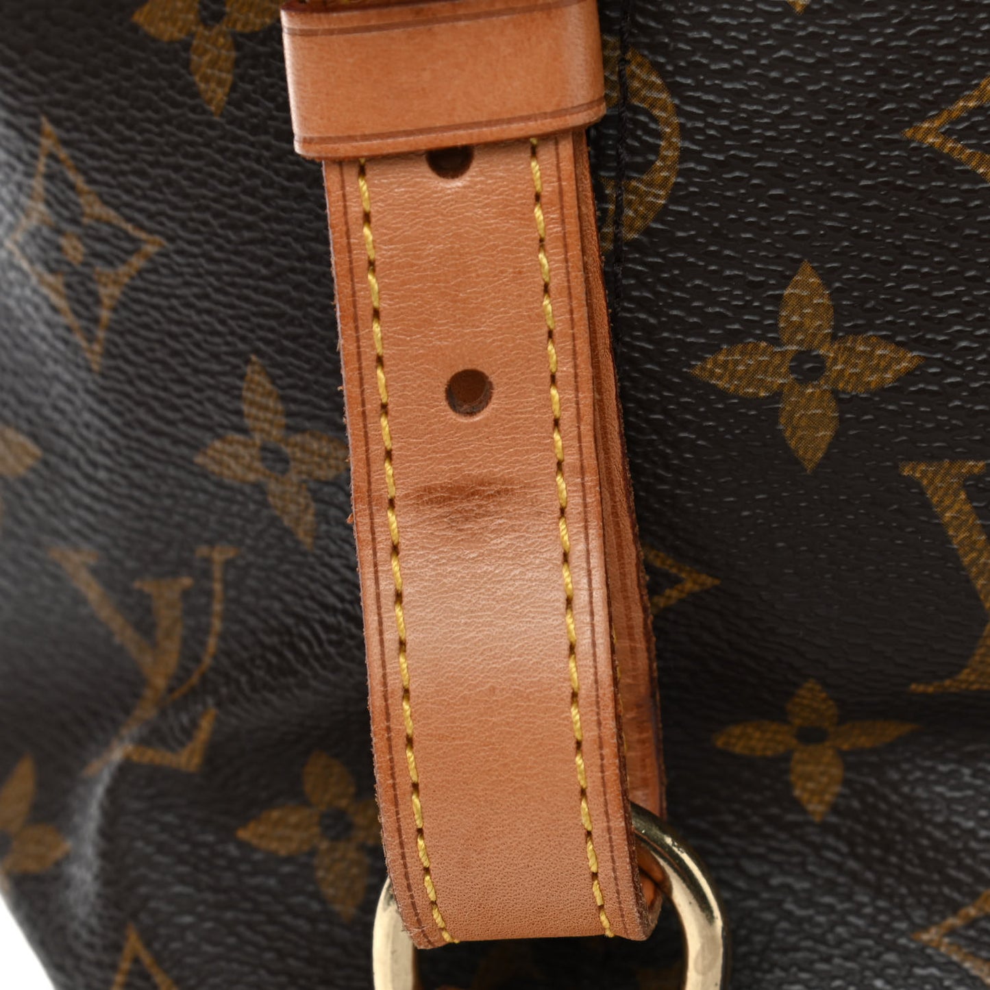 Monogram Montsouris GM Backpack