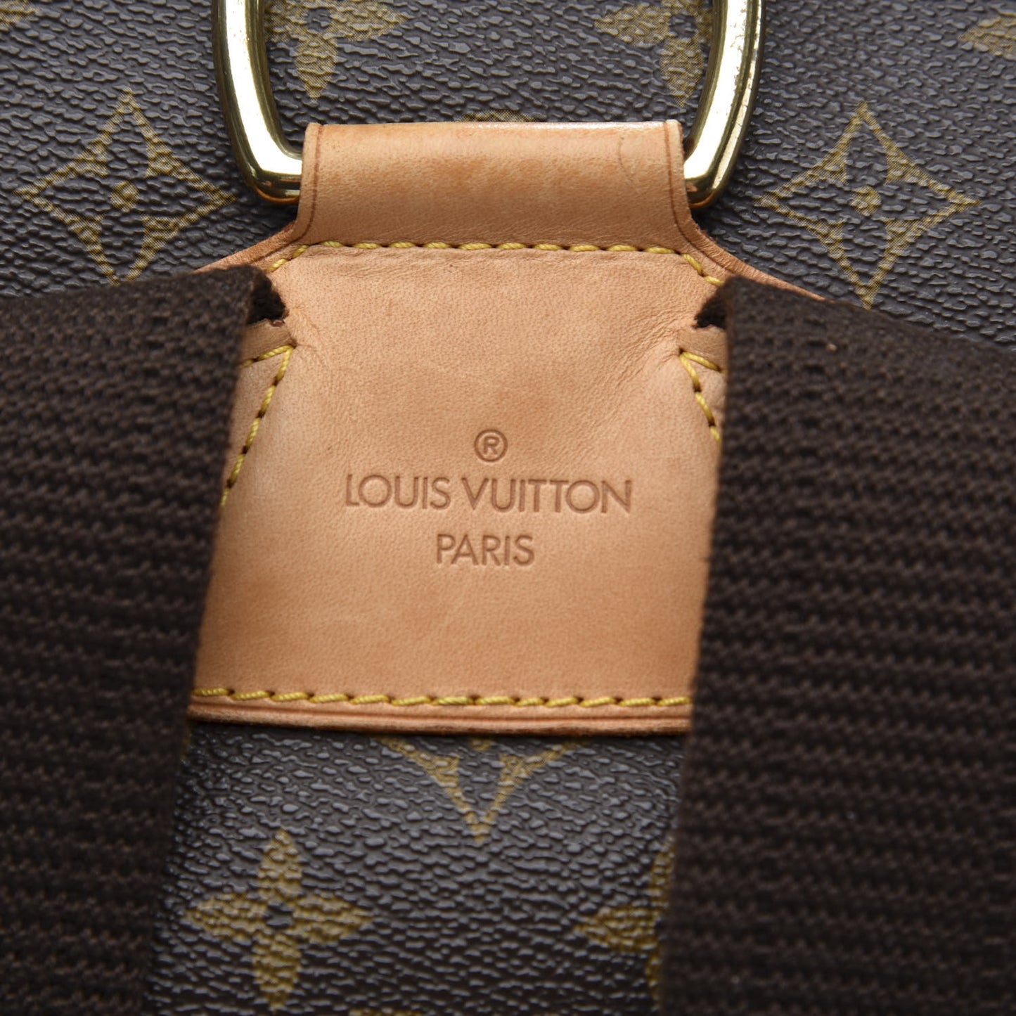 Monogram Montsouris GM Backpack