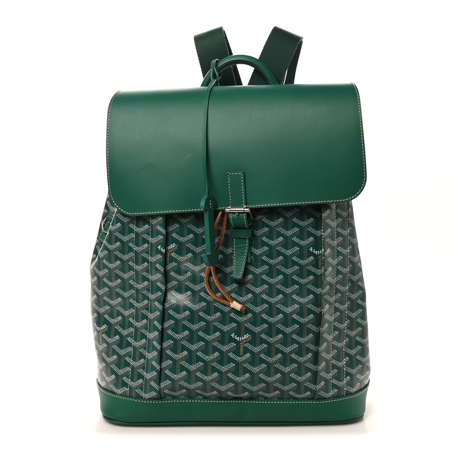 Goyard Goyardine Calfskin Alpin MM Backpack Green 1 of 9