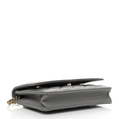Chanel Caviar Quilted Wallet On Chain WOC Grey 4 of 12