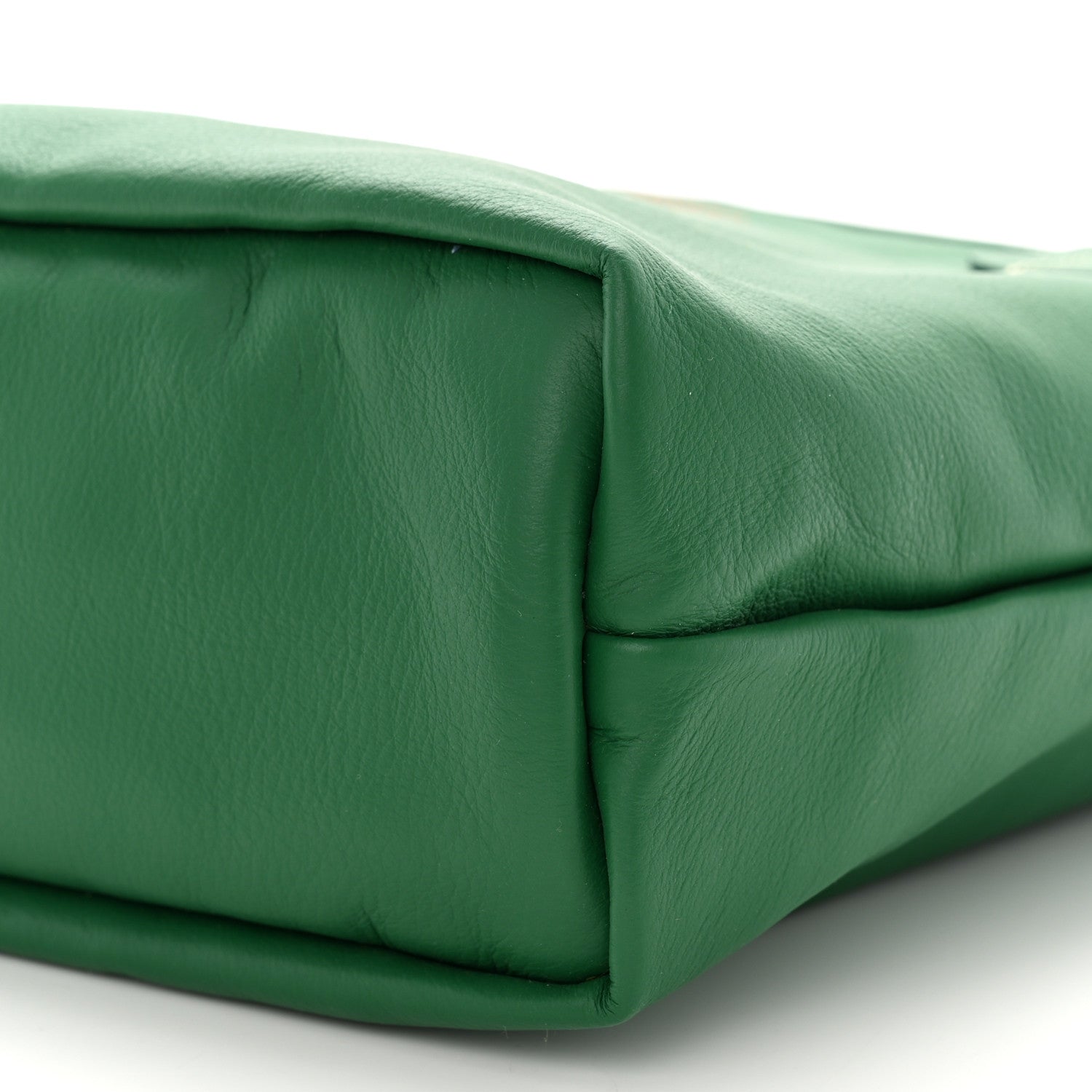 Goyard Goyardine Reversible Mini Anjou Green 19 of 19