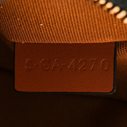 Celine Triomphe Canvas Calfskin Ava Shoulder Bag Tan 7 of 10