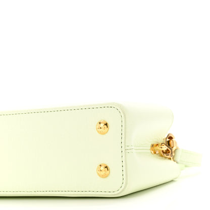 Louis Vuitton Taurillon Karung Mini Capucines Vert D'eau Green 9 of 10