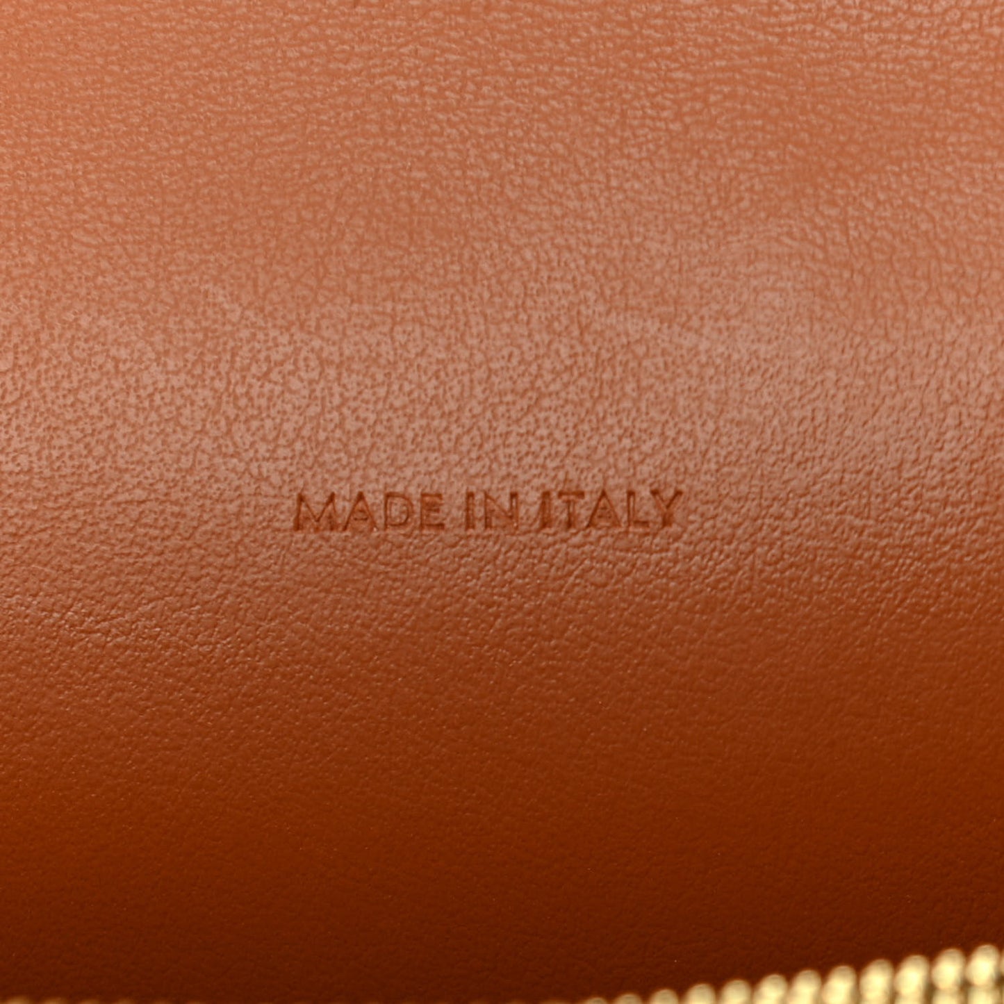 Triomphe Canvas Lambskin Wallet On Strap Tan