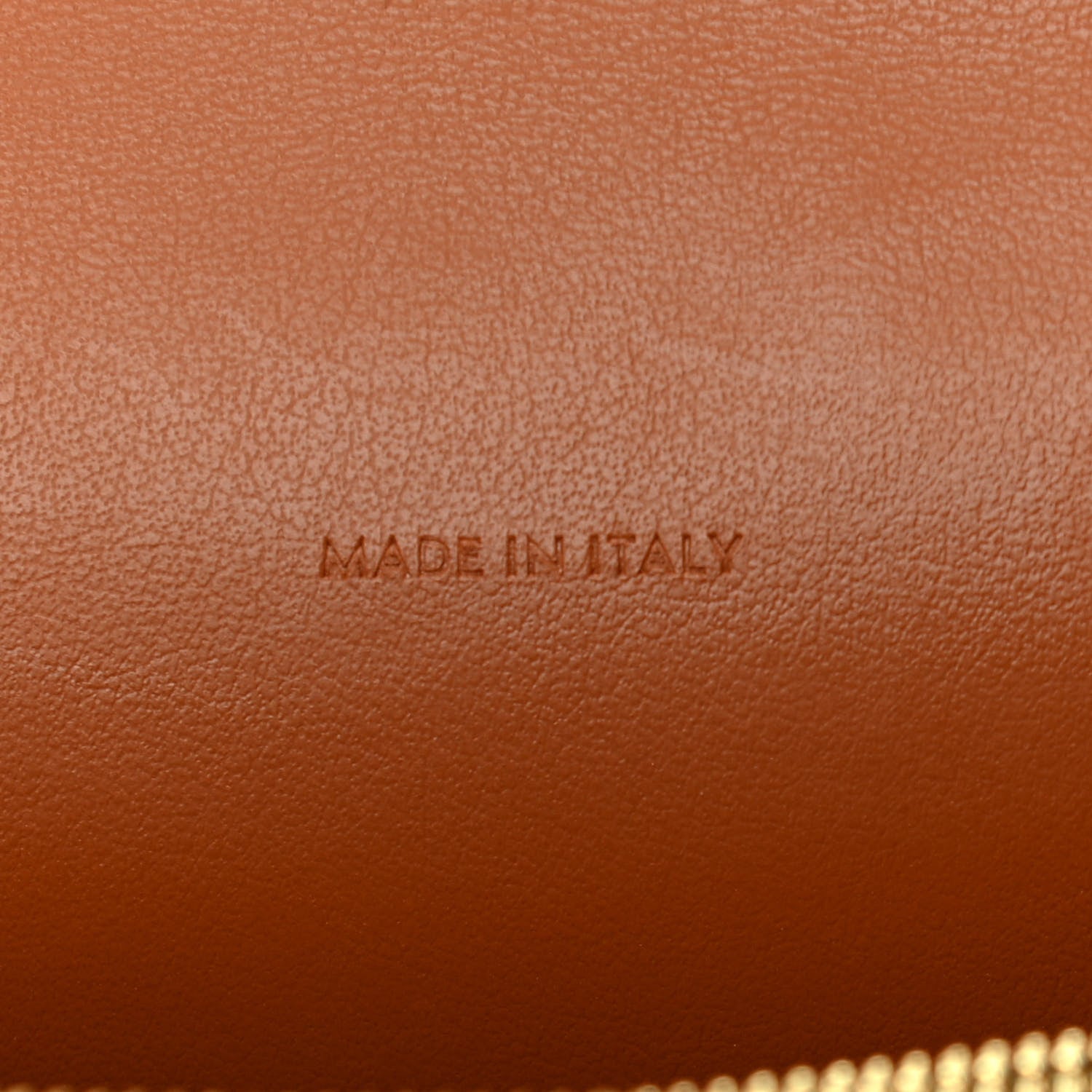 Celine Triomphe Canvas Lambskin Wallet On Strap Tan 7 of 12